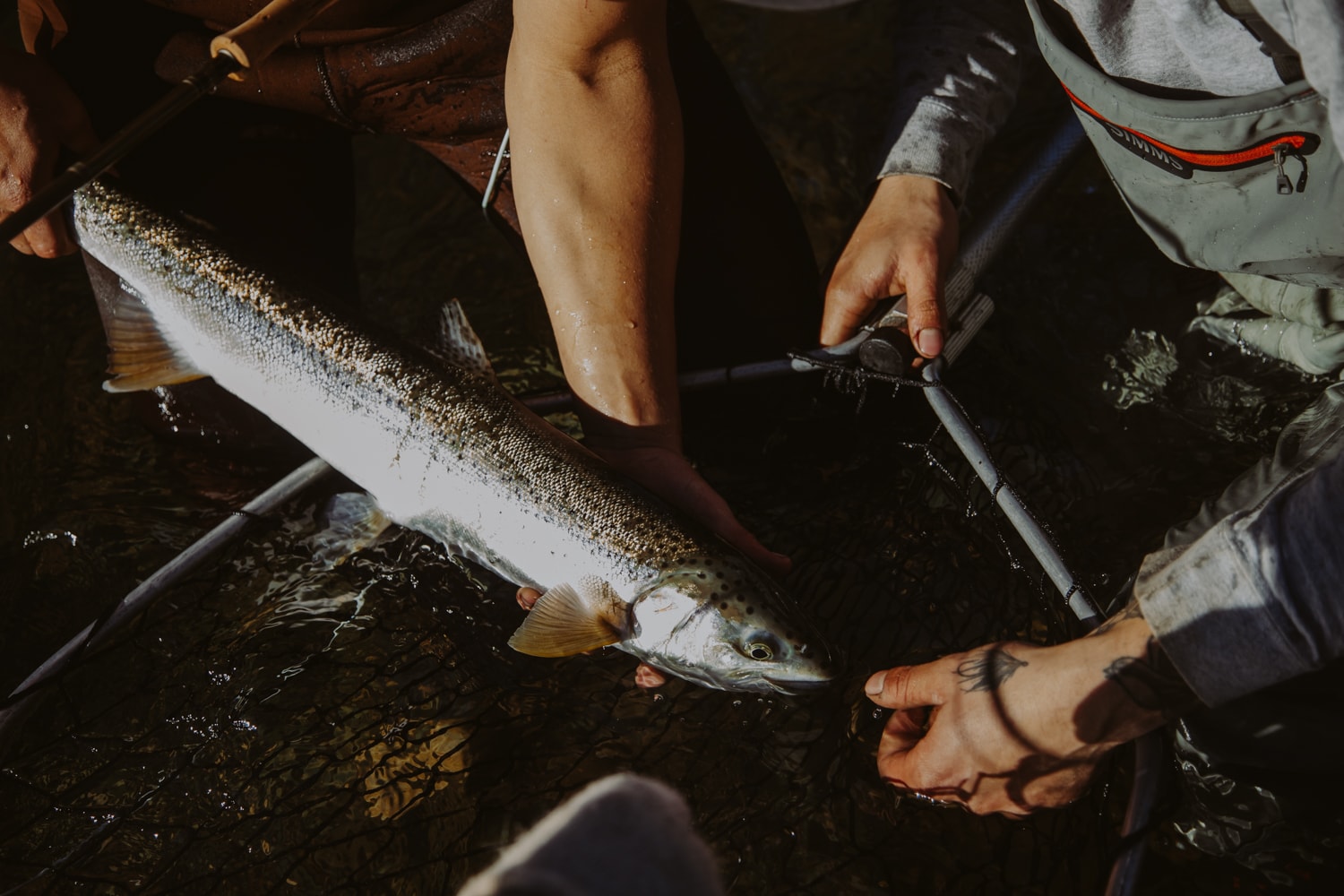 You are currently viewing Sauk River Fishing Report Winter 2019