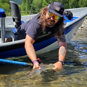 sauk river bull trout